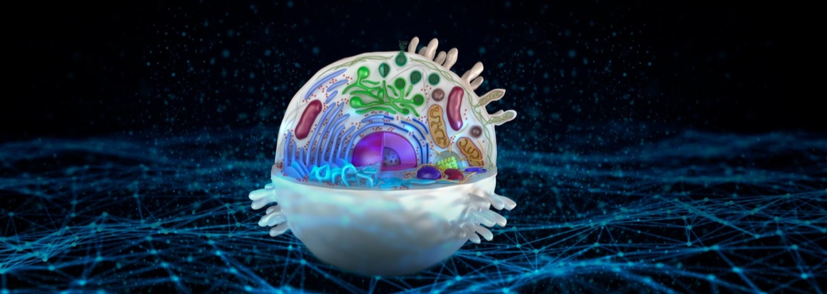 El potencial de las levaduras y sus derivados en nutrición animal
