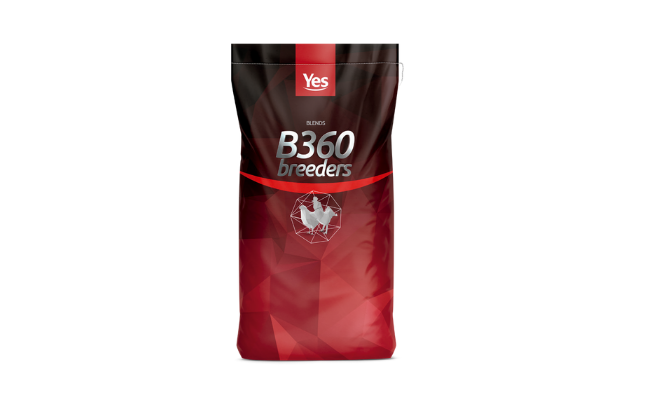B-360 BREEDERS