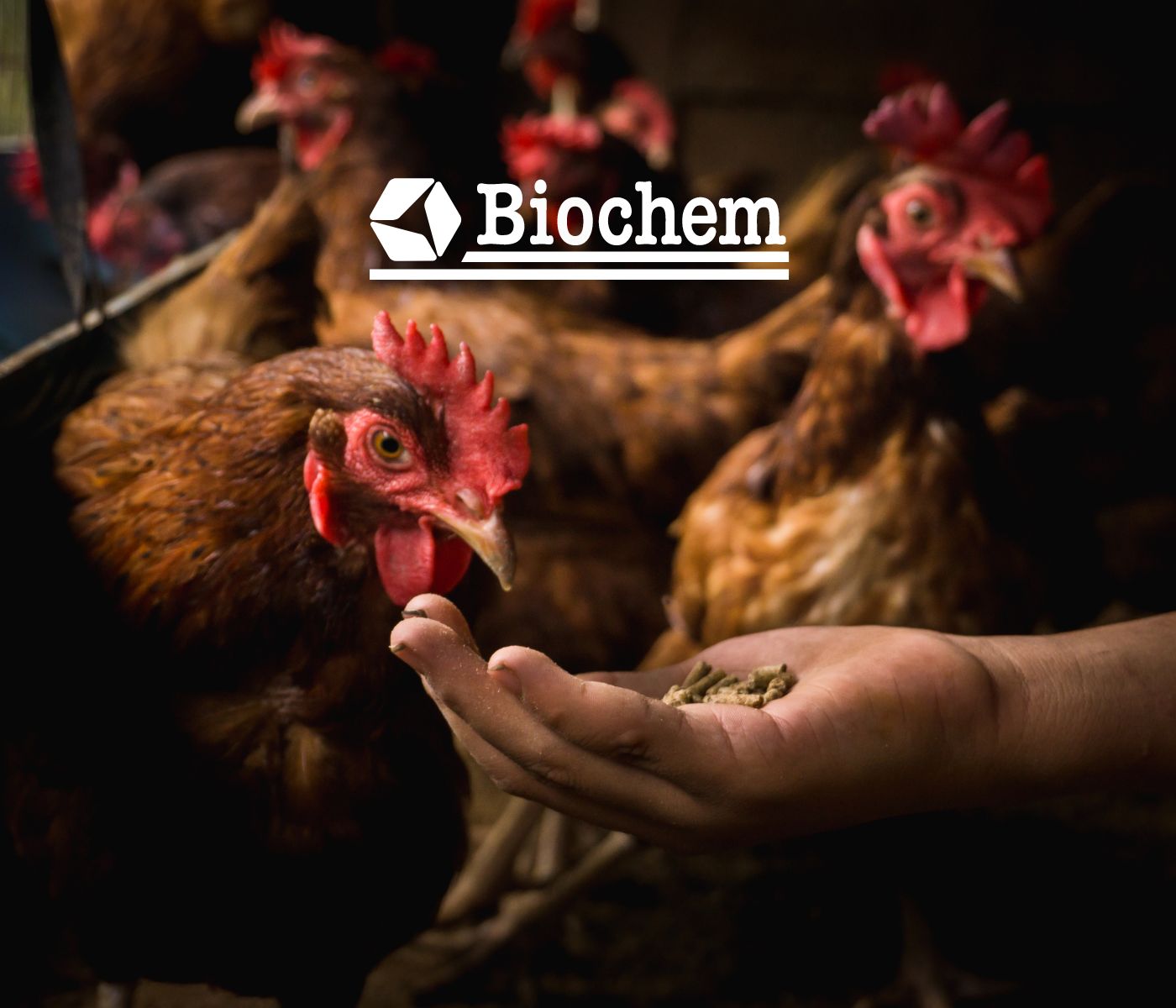 Biochem LATAM leva inovação em saúde intestinal para o SBSA 2025   