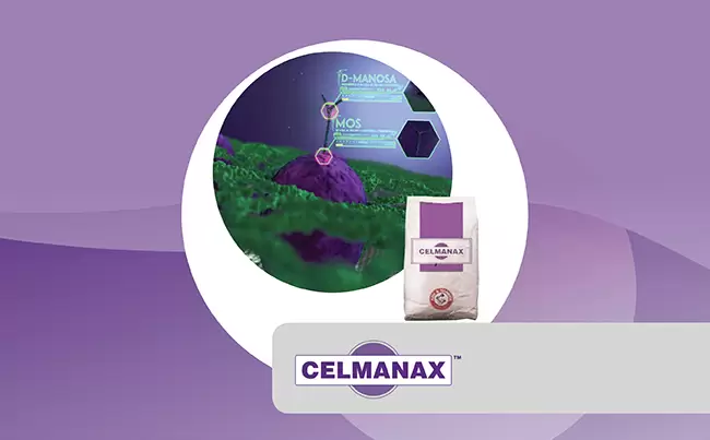Celmanax