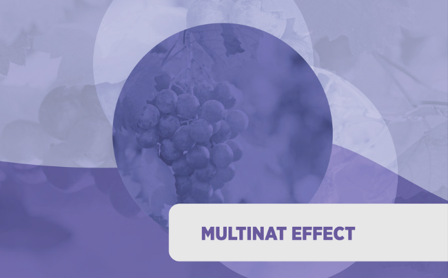 Multinat Effect
