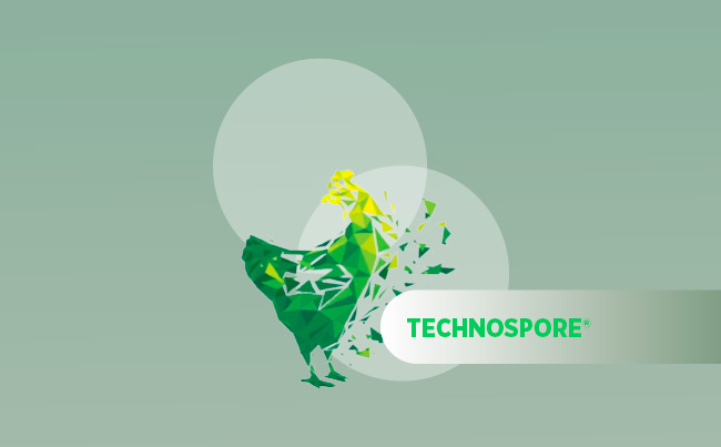 TECHNOSPORE®