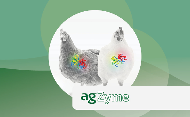 agZyme