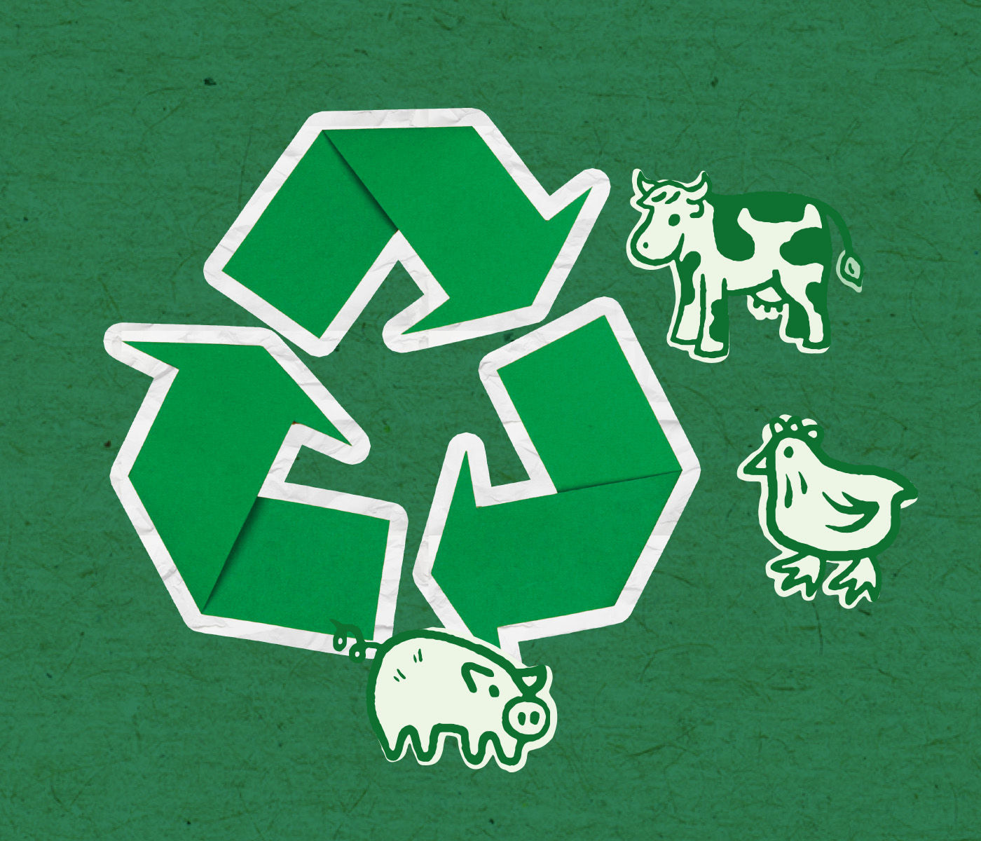 A Indústria de Rendering: sustentabilidade e nutrição animal